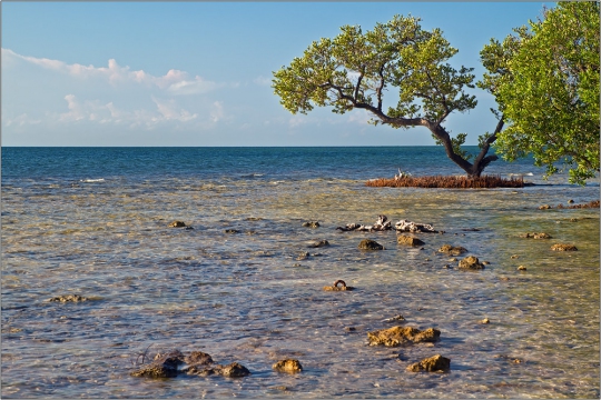 Key West Strand