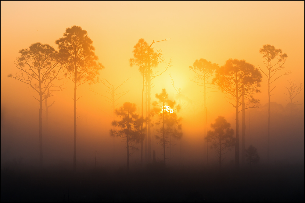 Florida Sunrise 01